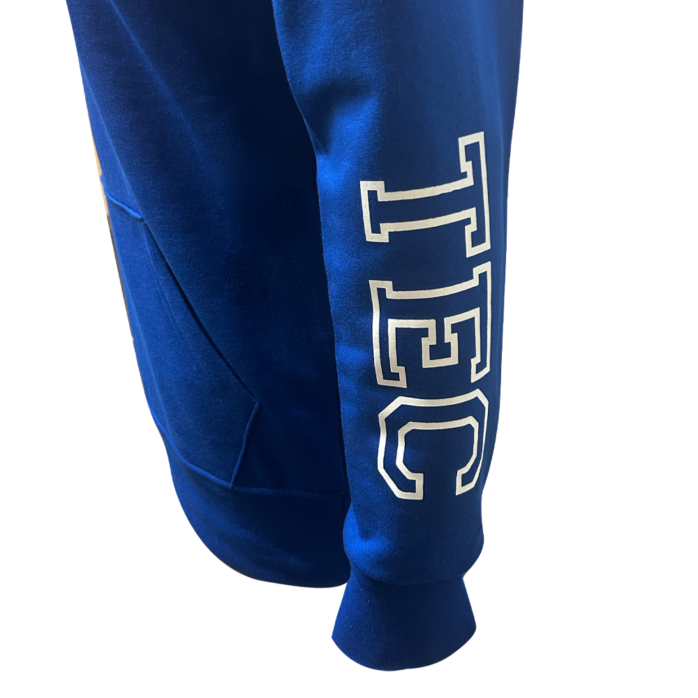 Sudadera Algodón Disney Mickey TEC Azul