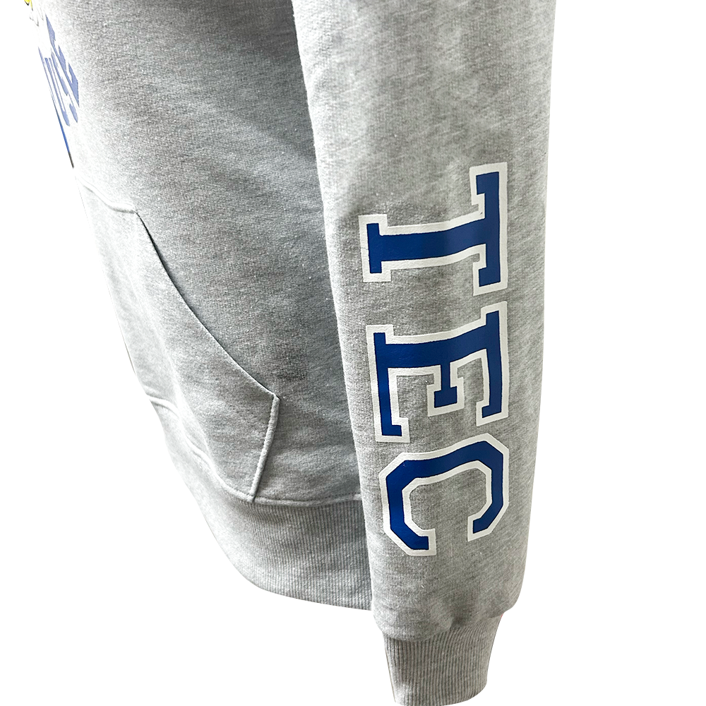 Sudadera Algodón Disney Minnie TEC Gris