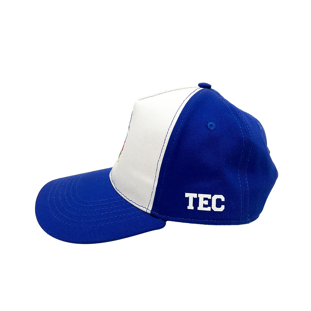 Gorra Mickey Classic Snap TEC Azul/Blanco