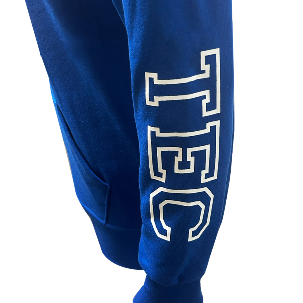Sudadera Algodón Disney Donald TEC Azul