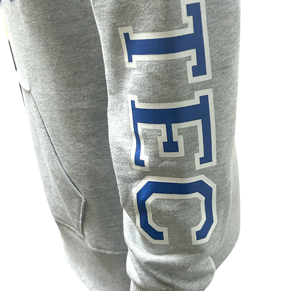 Sudadera Algodón Disney Mickey TEC Gris