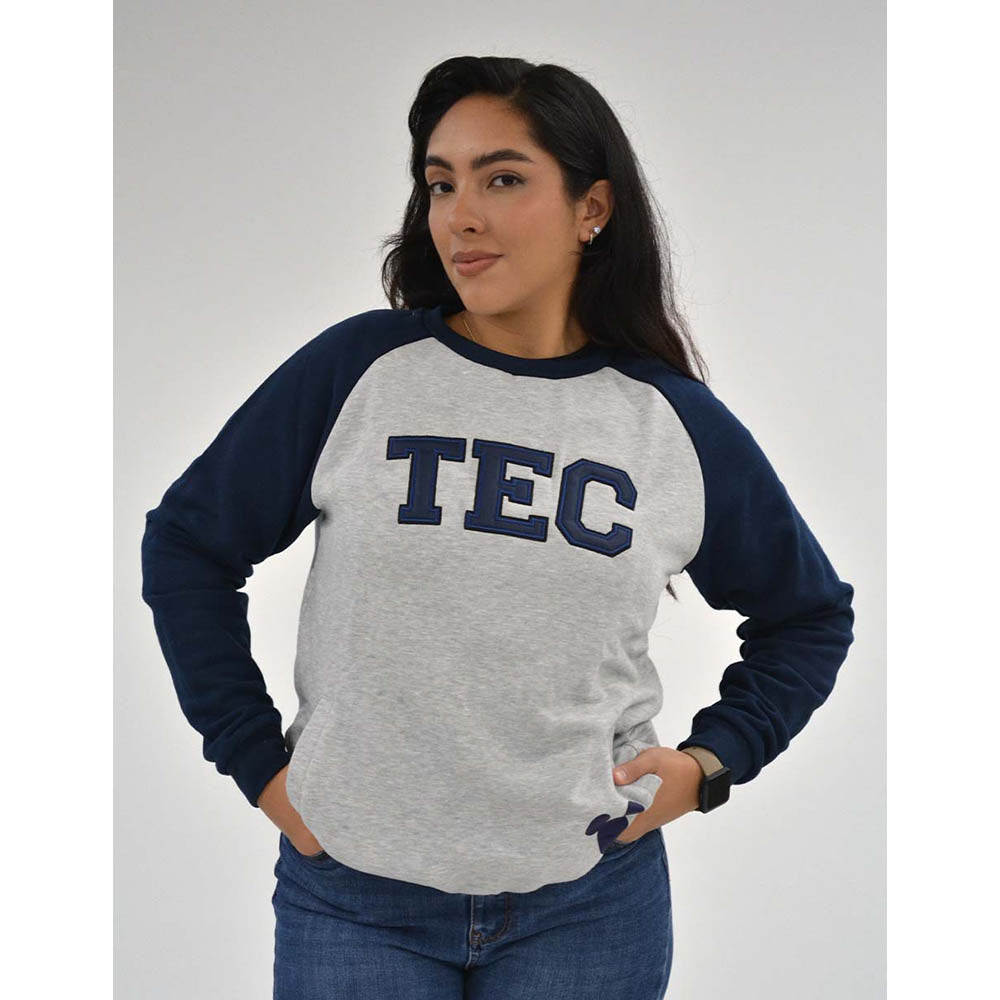 Sudadera PO Moda Disney Mickey TEC Gris/ Azul Marino