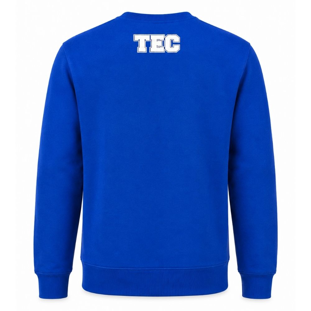 Sudadera Harry Potter Hogwarts TEC Azul, Unisex
