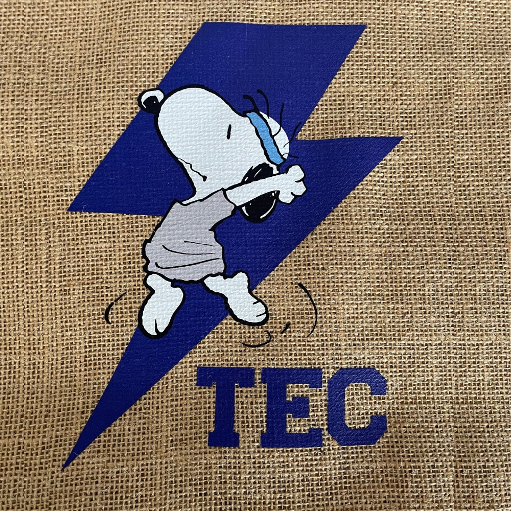 Bolsa Tote Snoopy Flash TEC