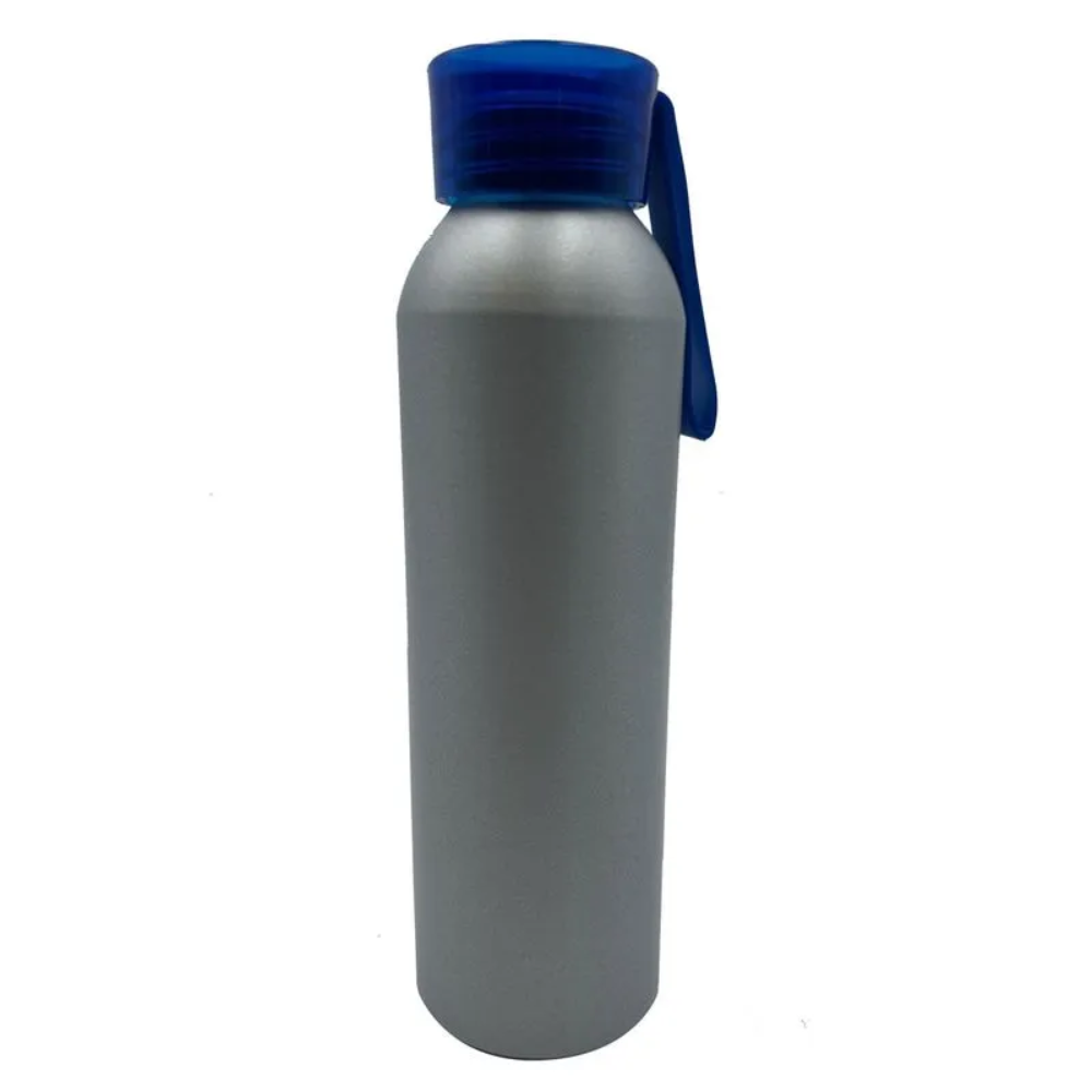 Ánfora Song Plata/az Borregos 650 ml