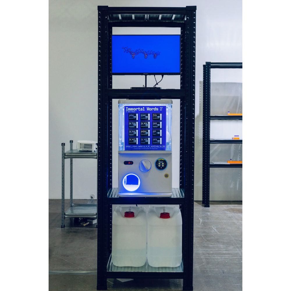 token digital Immortal Words