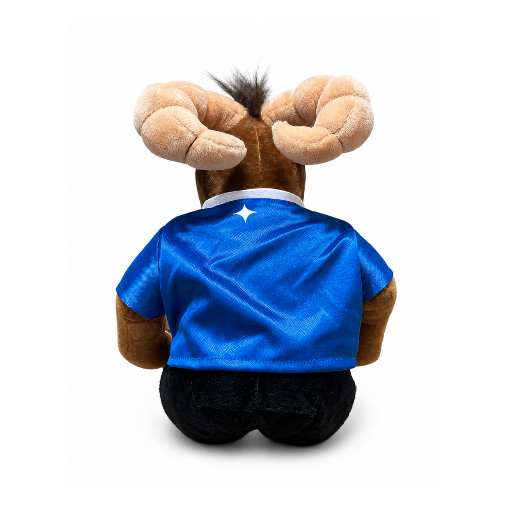 Peluche TEUS Toon HPIS Con Playera