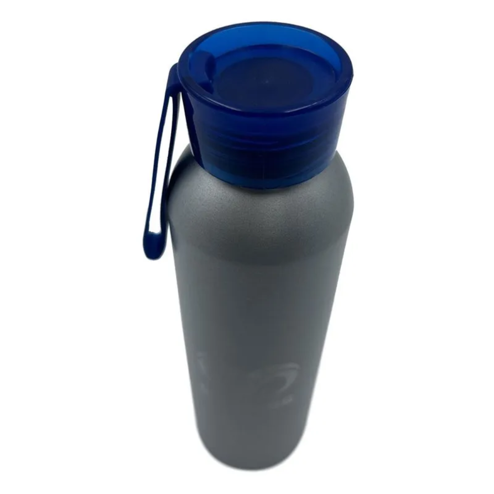 Ánfora Song Plata/az Borregos 650 ml
