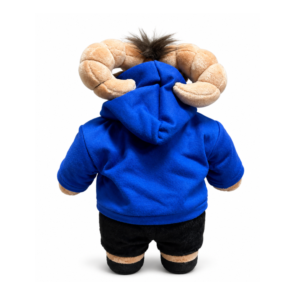 Peluche TEUS Toon HPIS Con Hoodie