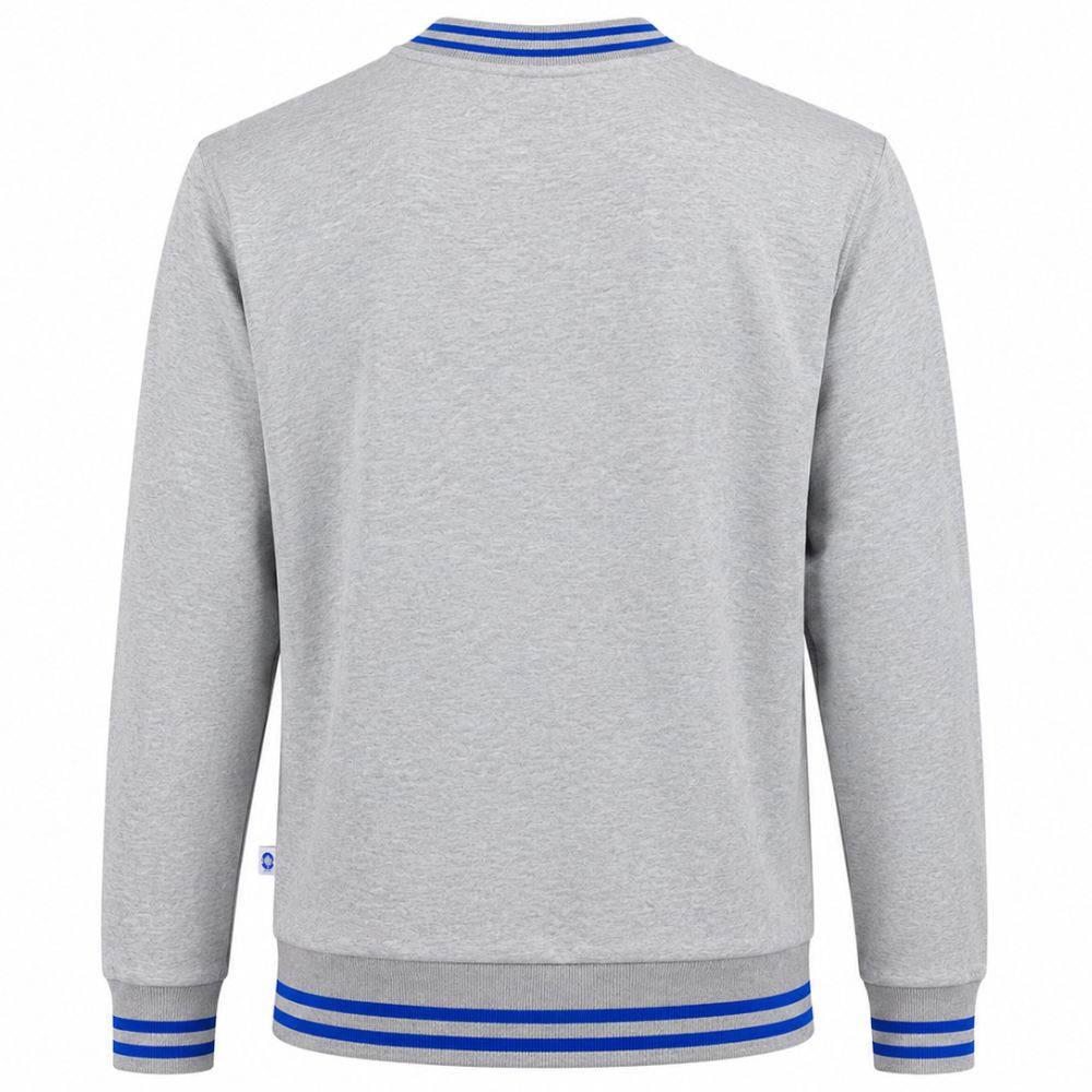 Sudadera PO Antorcha Medicina Gris, Unisex