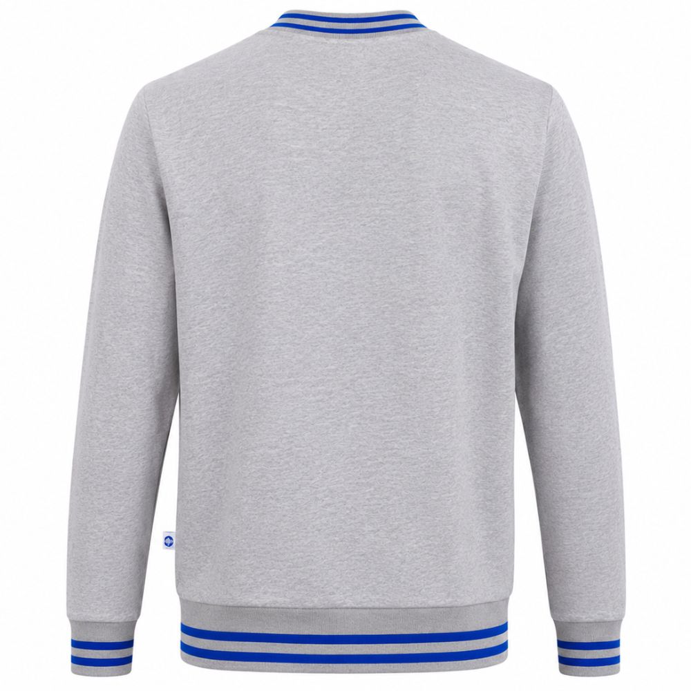 Sudadera PO Antorcha Humanidades Gris, Unisex