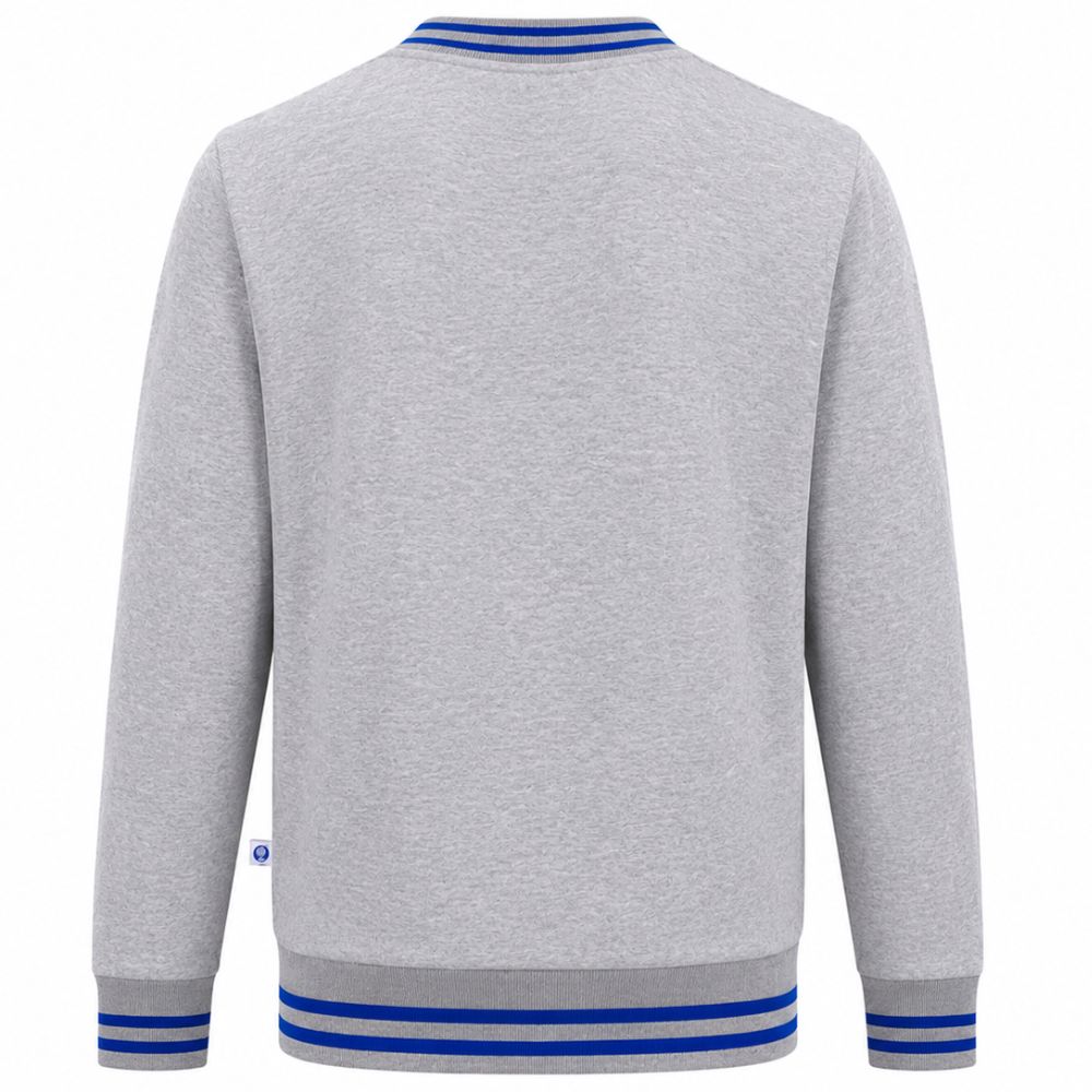 Sudadera PO Antorcha Ciencias Sociales Gris, Unisex