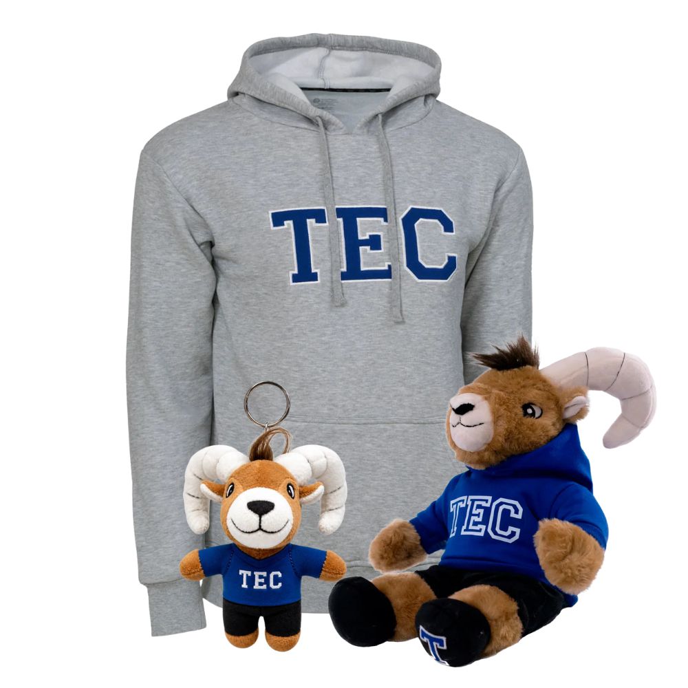 Kit Ready For TEC Sudadera Essential TEC gris + Teus Hoodie + Teus Mini Llavero