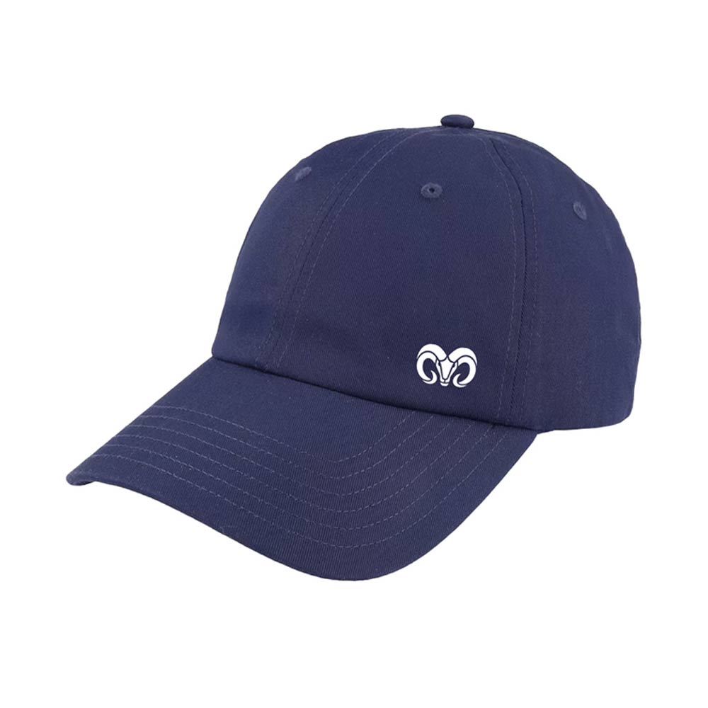 Gorra Under Armour Team BORREGOS, Marino