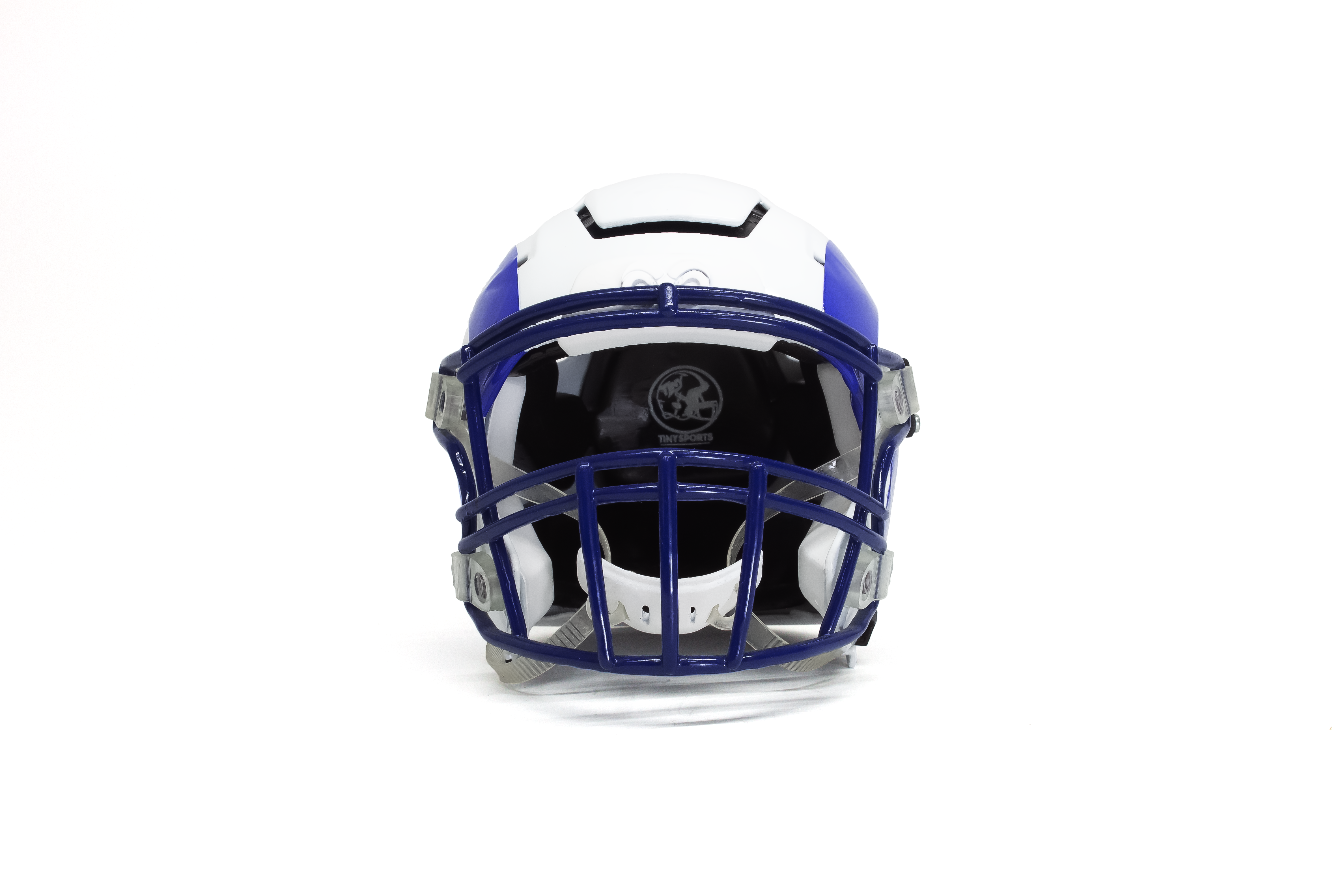 Mini Casco Borregos Campus Monterrey