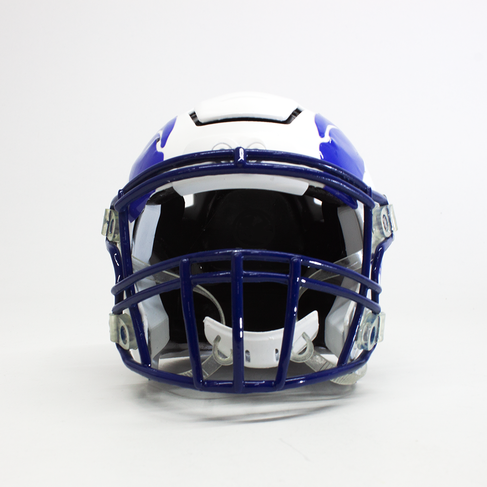 Mini Casco Borregos Campus Santa Fe
