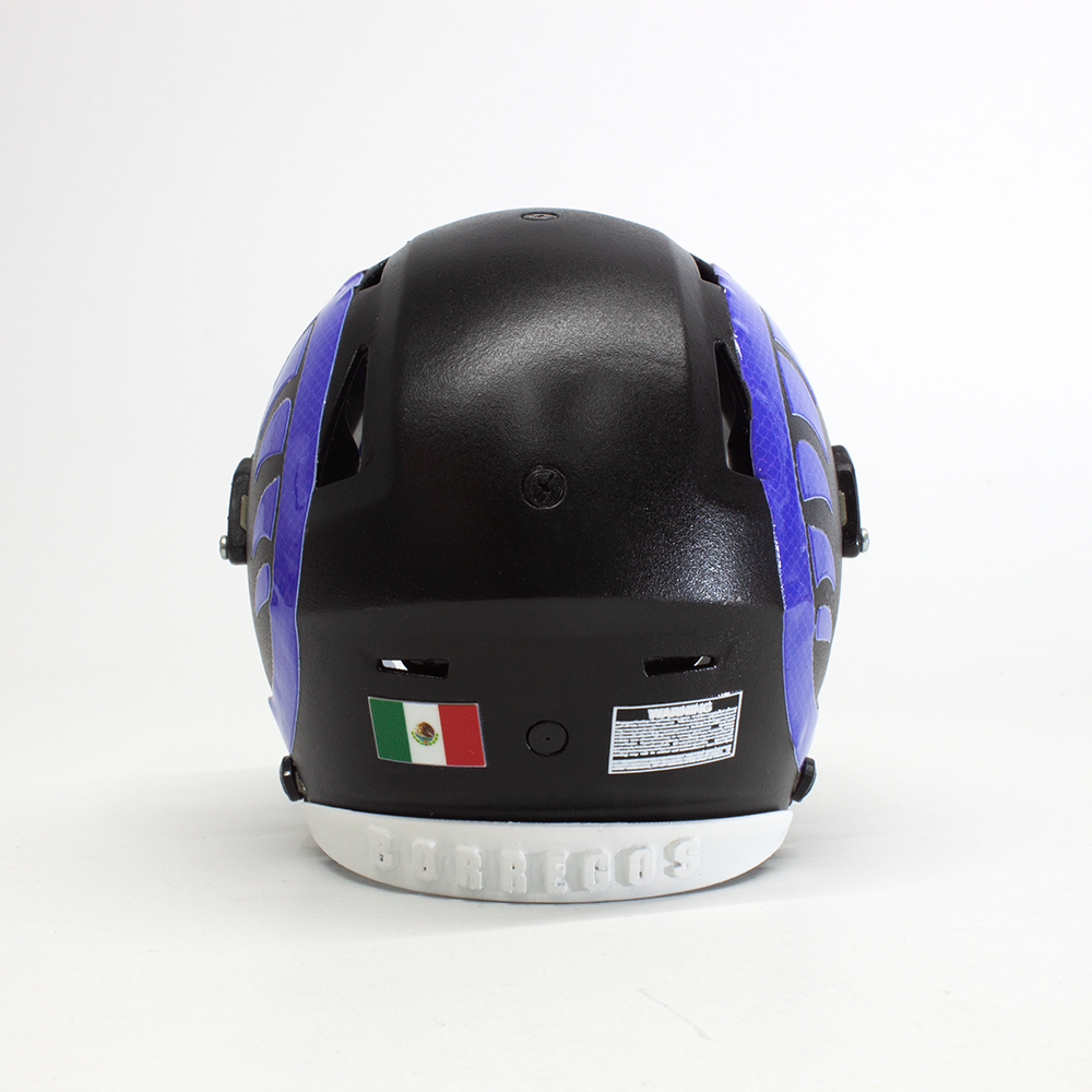 Mini Casco Borregos Campus Toluca