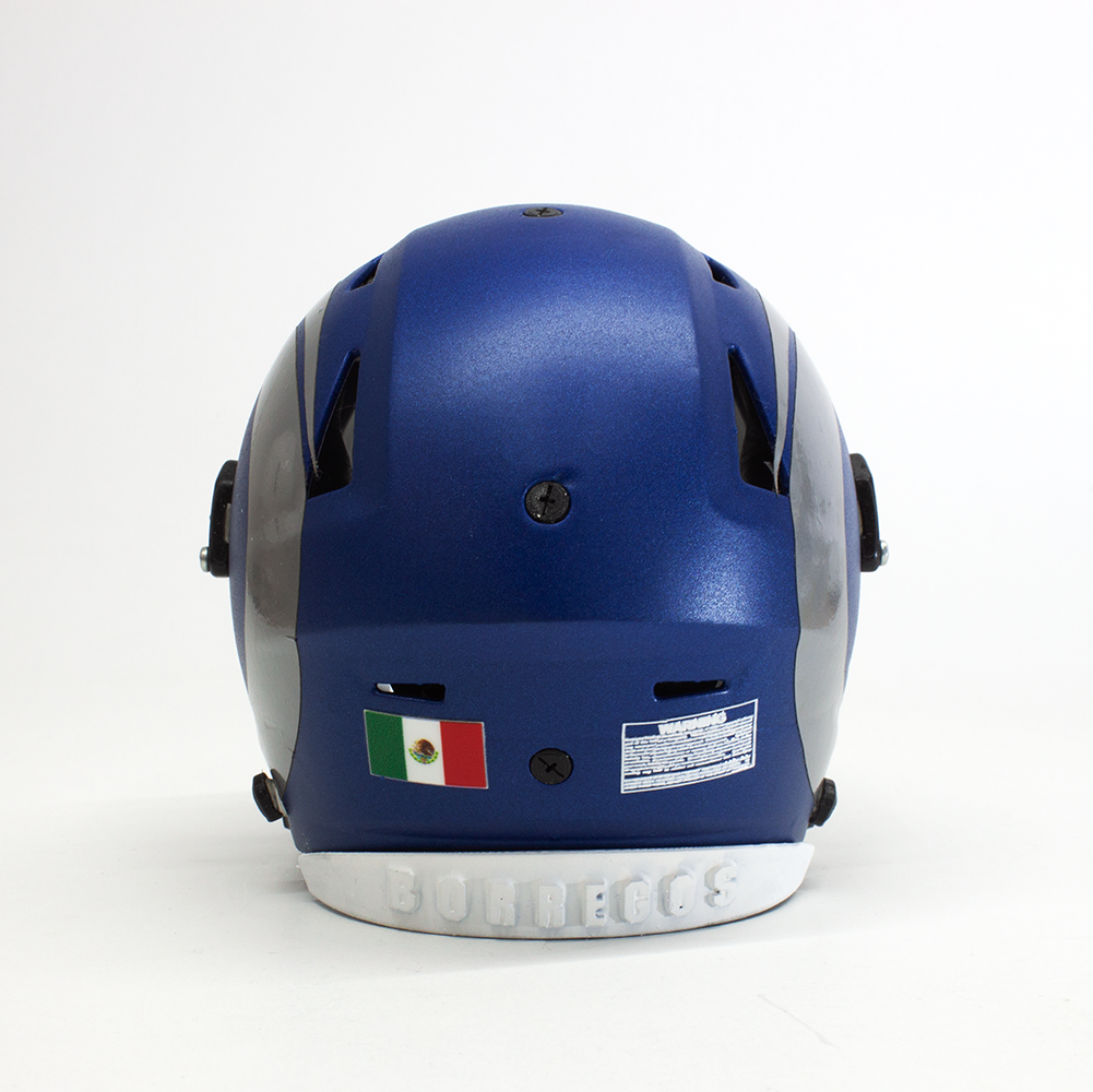 Mini Casco Borregos Campus Puebla