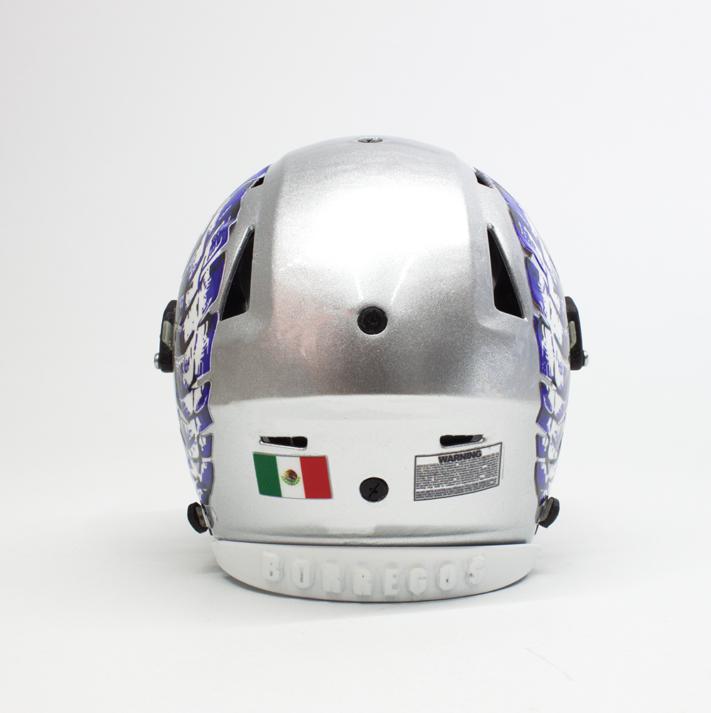 Mini Casco Borregos Campus Ciudad de México
