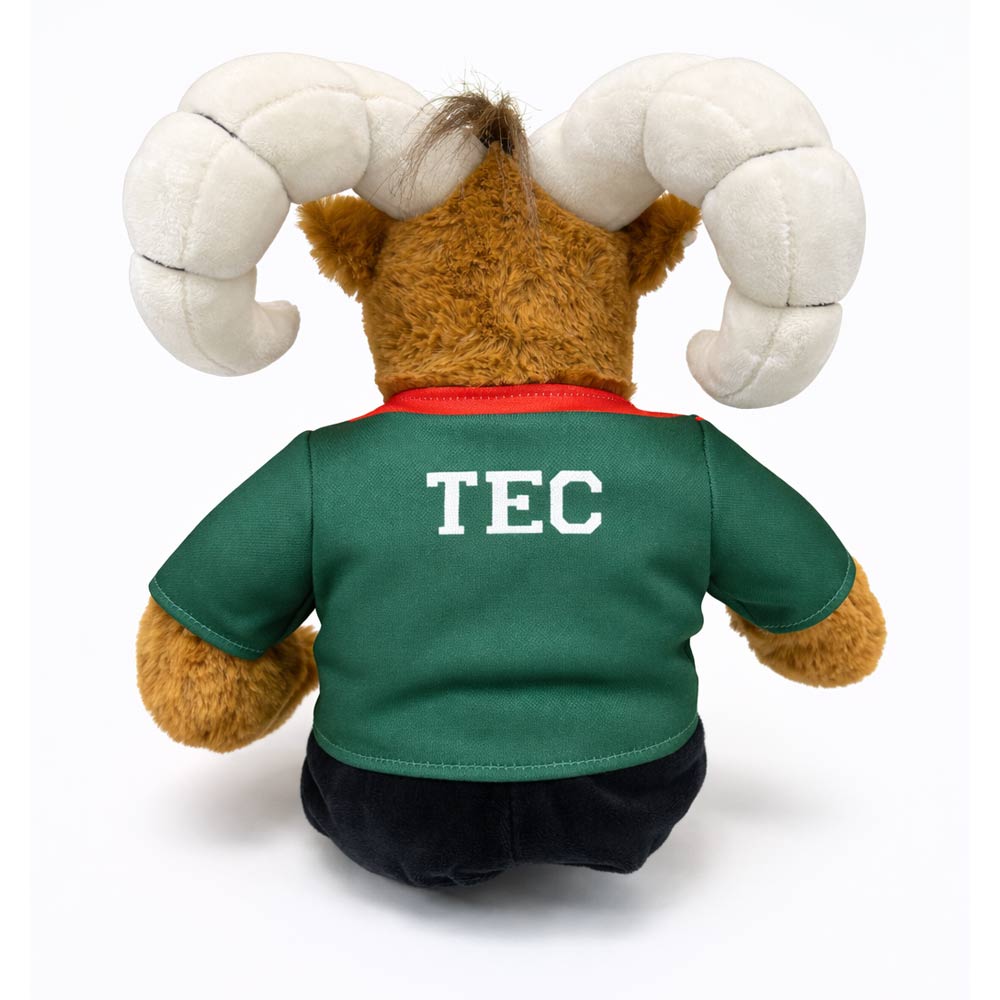 Teus Selección TEC México 2026