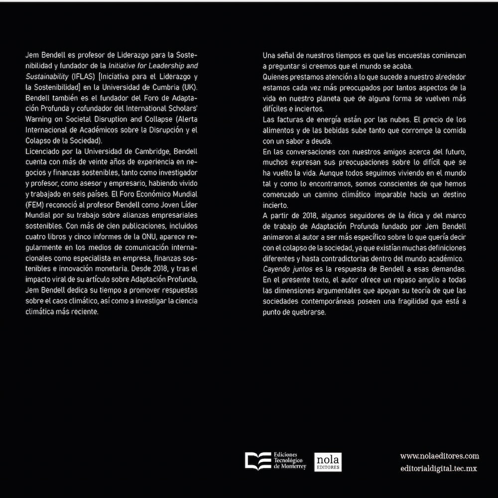 Libro Cayendo juntos