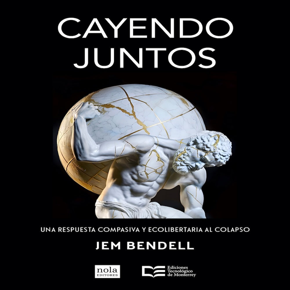 Libro Cayendo juntos