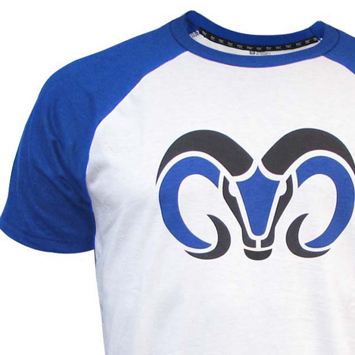 Playera Casual Borregos Manga Raglan - Azul, Hombre