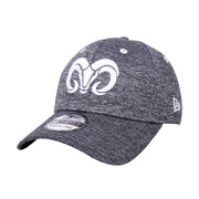 Gorra Logo BORREGOS 39Thirty New Era Gris